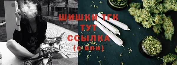 дмт Козловка