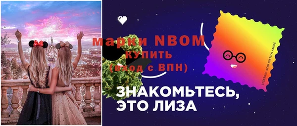 амф Козельск