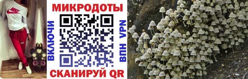 купить наркоту  MEGA маркетплейс  Галлюциногенные грибы GOLDEN TEACHER  Липки 